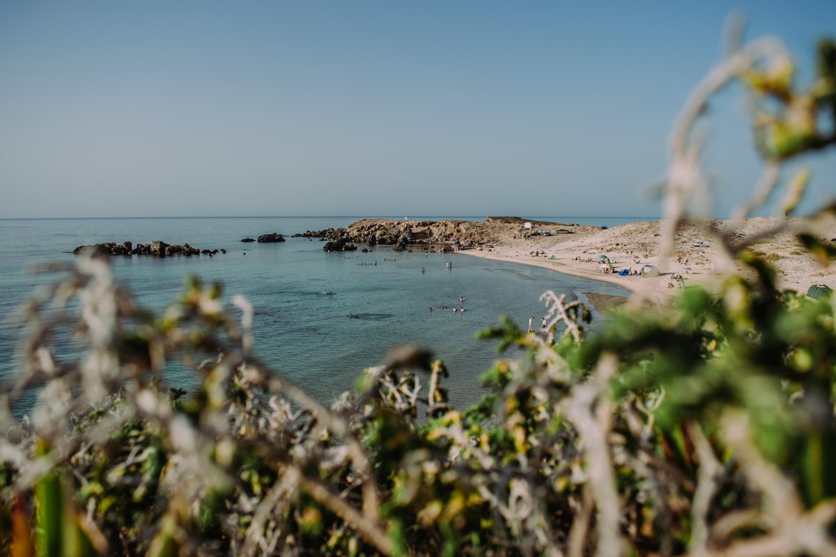 The Genoese fort and coral-coloured rooftops of Tabarka on Tunisia's northwestern coast