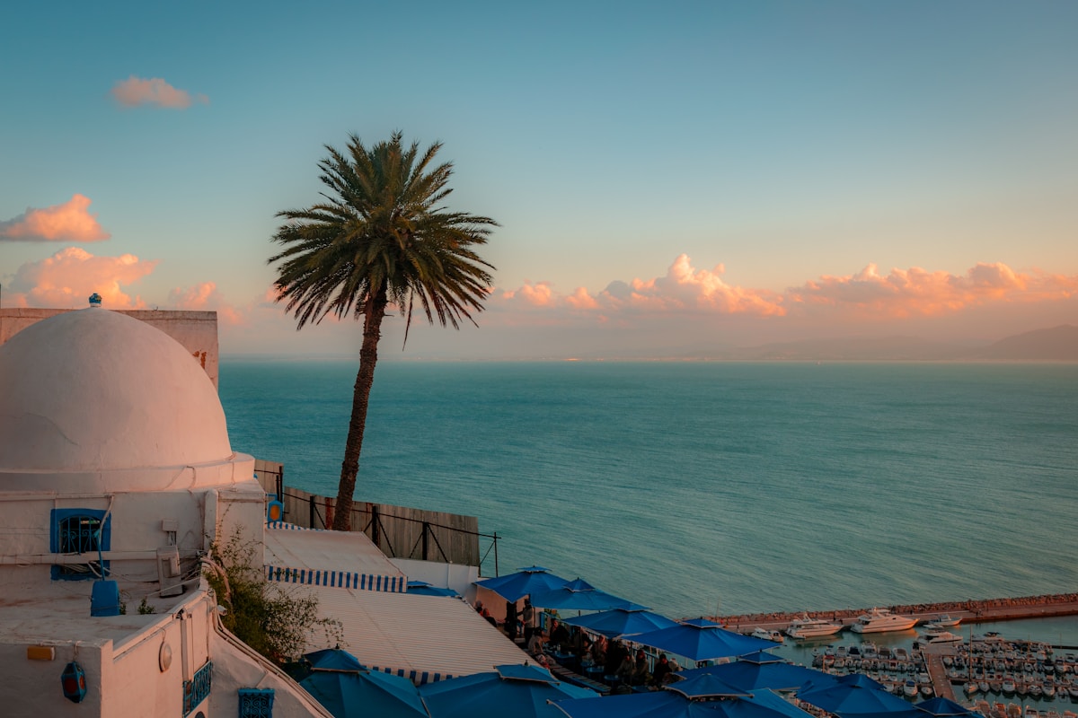 White domed building and palm tree at sunset overlooking the Gulf of Tunis, Sidi Bou Said, Tunisia