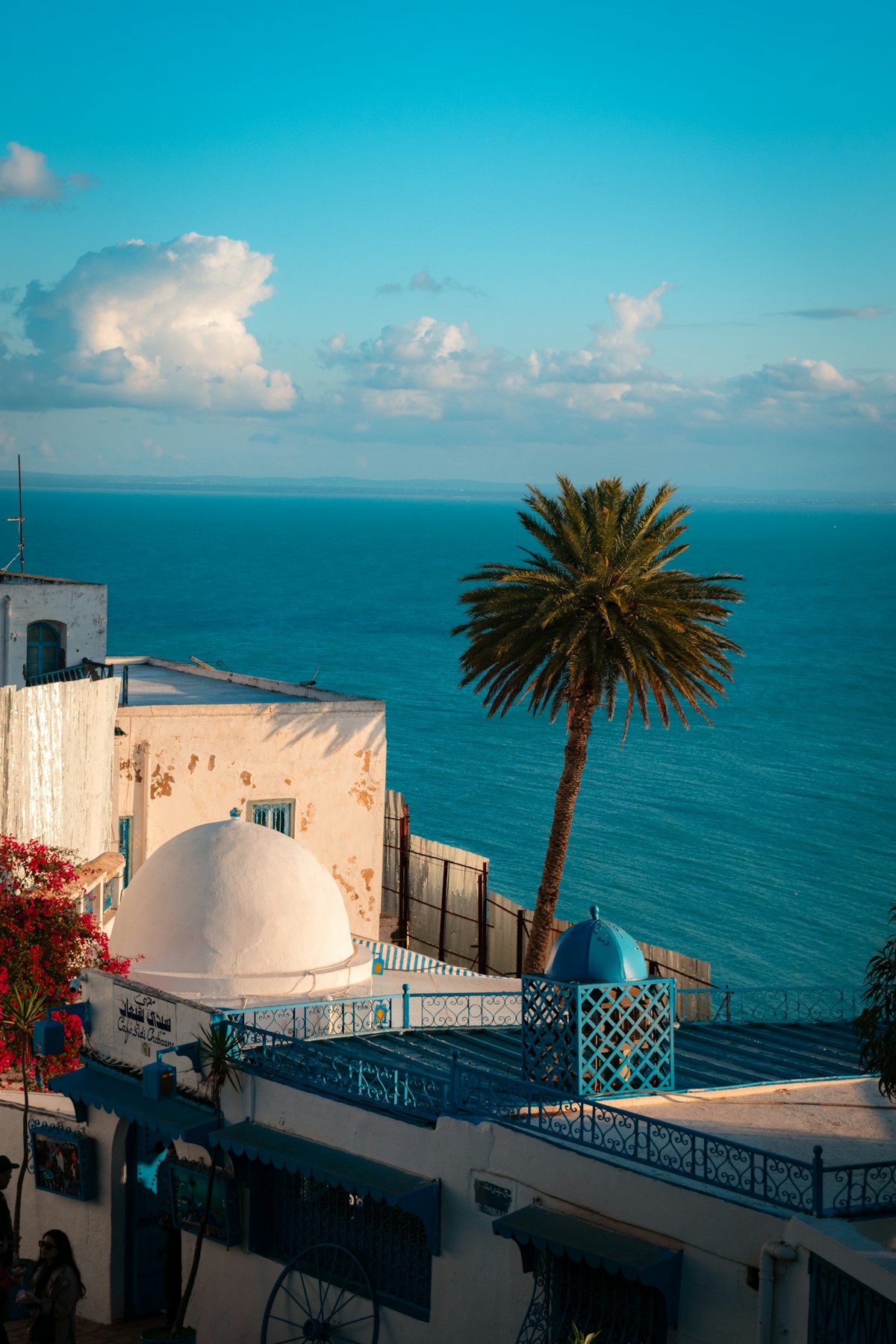 Blue and white architecture at Sidi Bou Said overlooking the Mediterranean, Tunisia