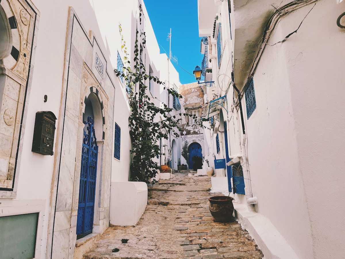 A cobblestone alley with whitewashed walls and blue doors in the Tunisian medina