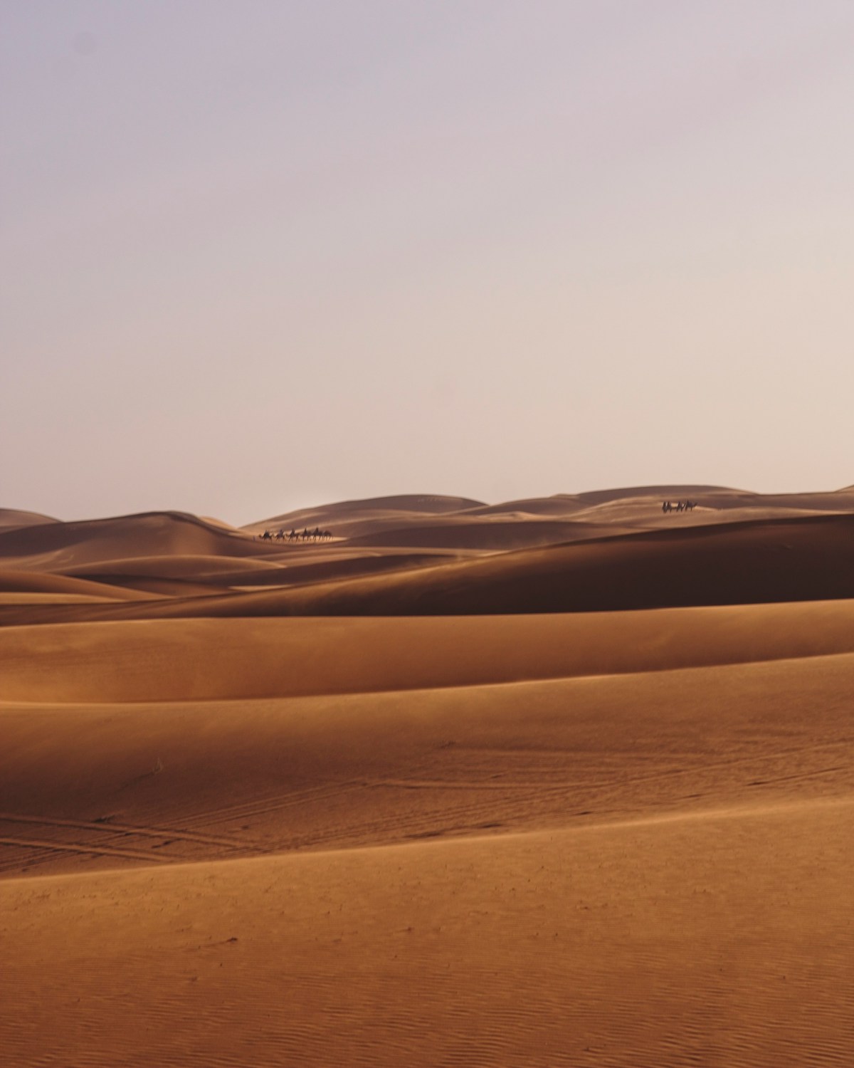 Un circuit dans le désert du Sahara depuis Tunis, Tunisie