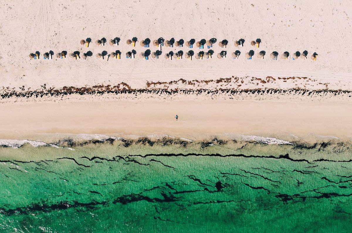 Aerial view of a Djerba beach with umbrellas, Tunisia in spring